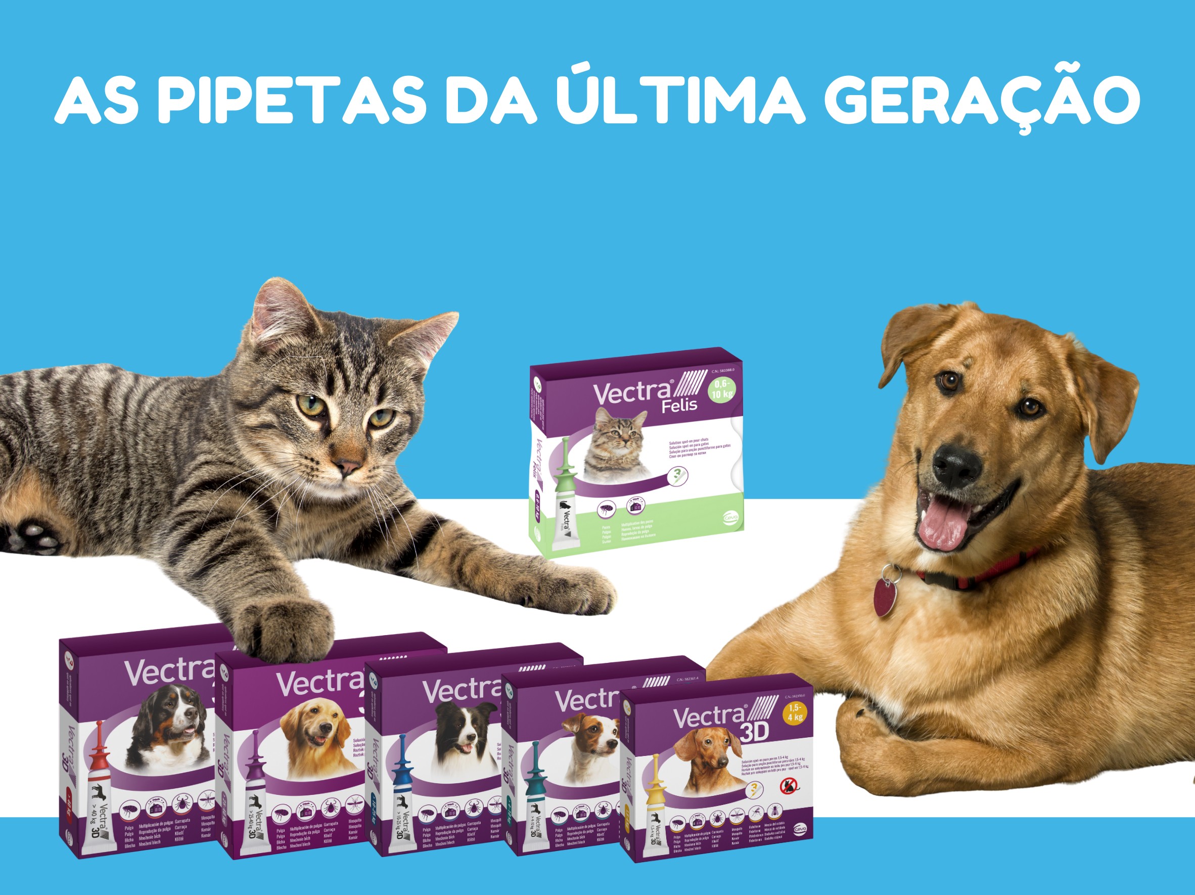 NewPet VECTRA 3D e VECTRA FELIS: Proteção de Última Geração para Cães e Gatos