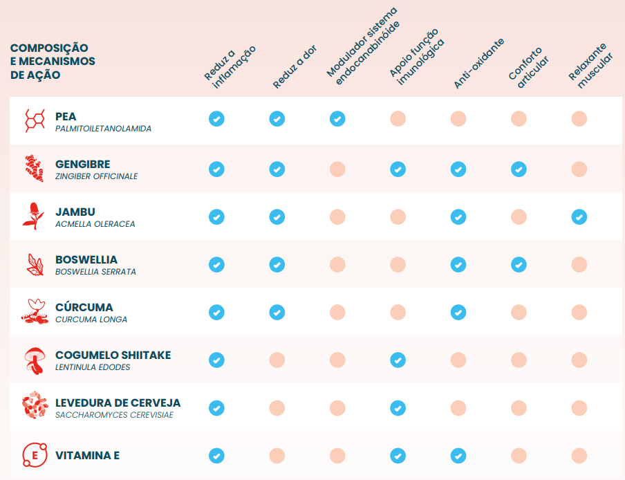 gloflam_mecanismo_de_acao_imagem