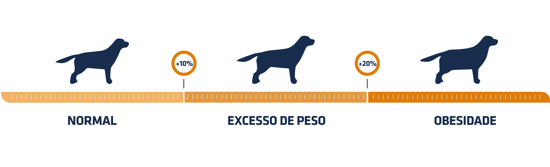 grafico_sobre_peso_cao