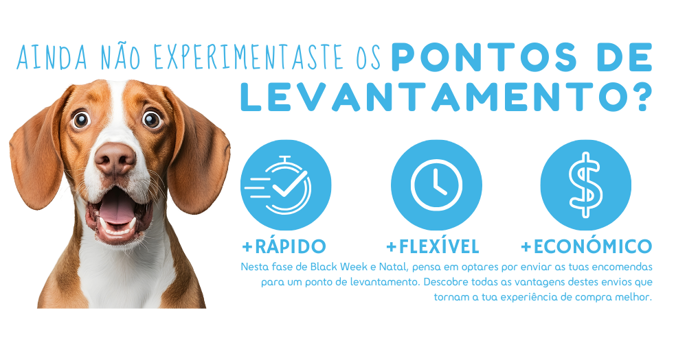 pontos de levantamento