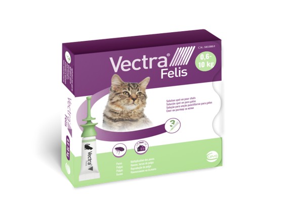 Vecta Felis