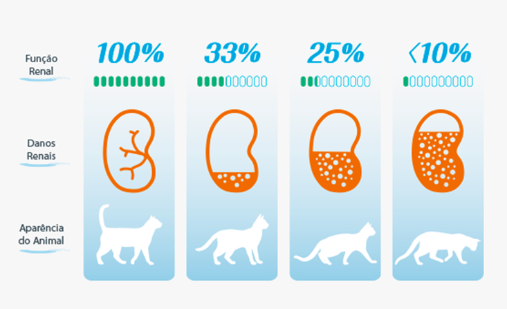 wenefro_advanced_imagem_a