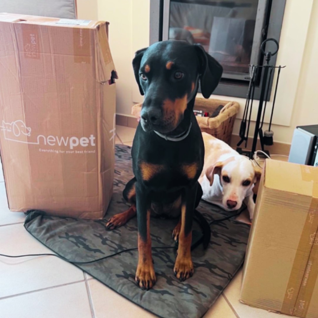 NewPet Patudo do Mês - Abril'23