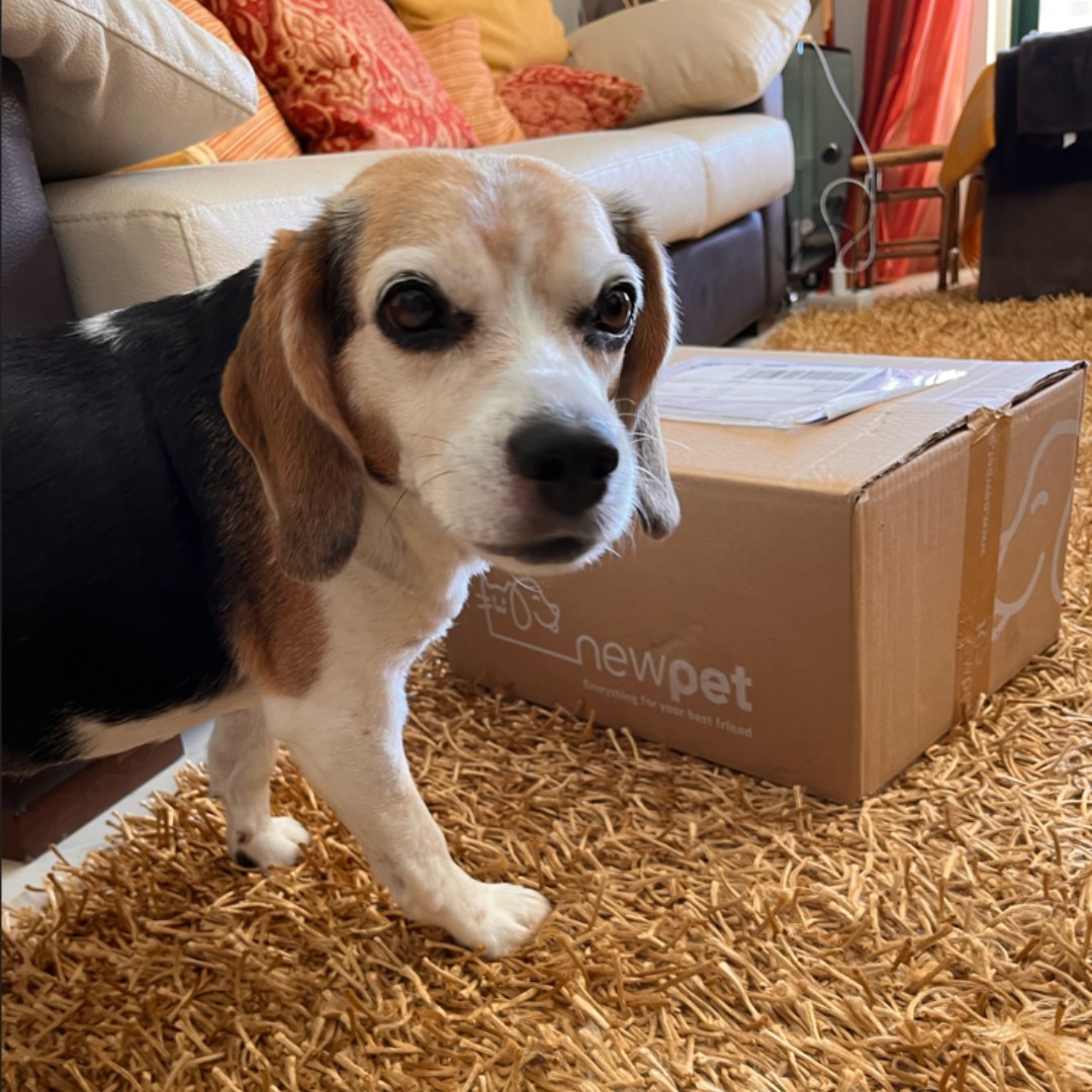 Patudo do Mês - Agosto'23