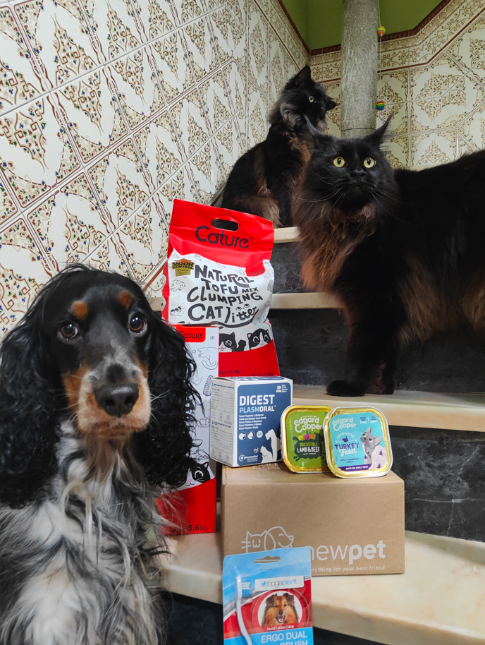 Patudo do Mês - Fevereiro'25