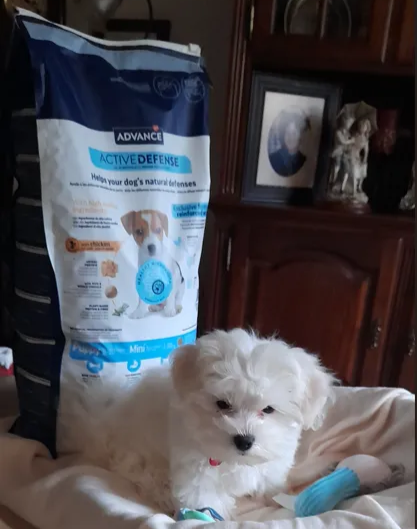 Patudo do Mês - Janeiro'25