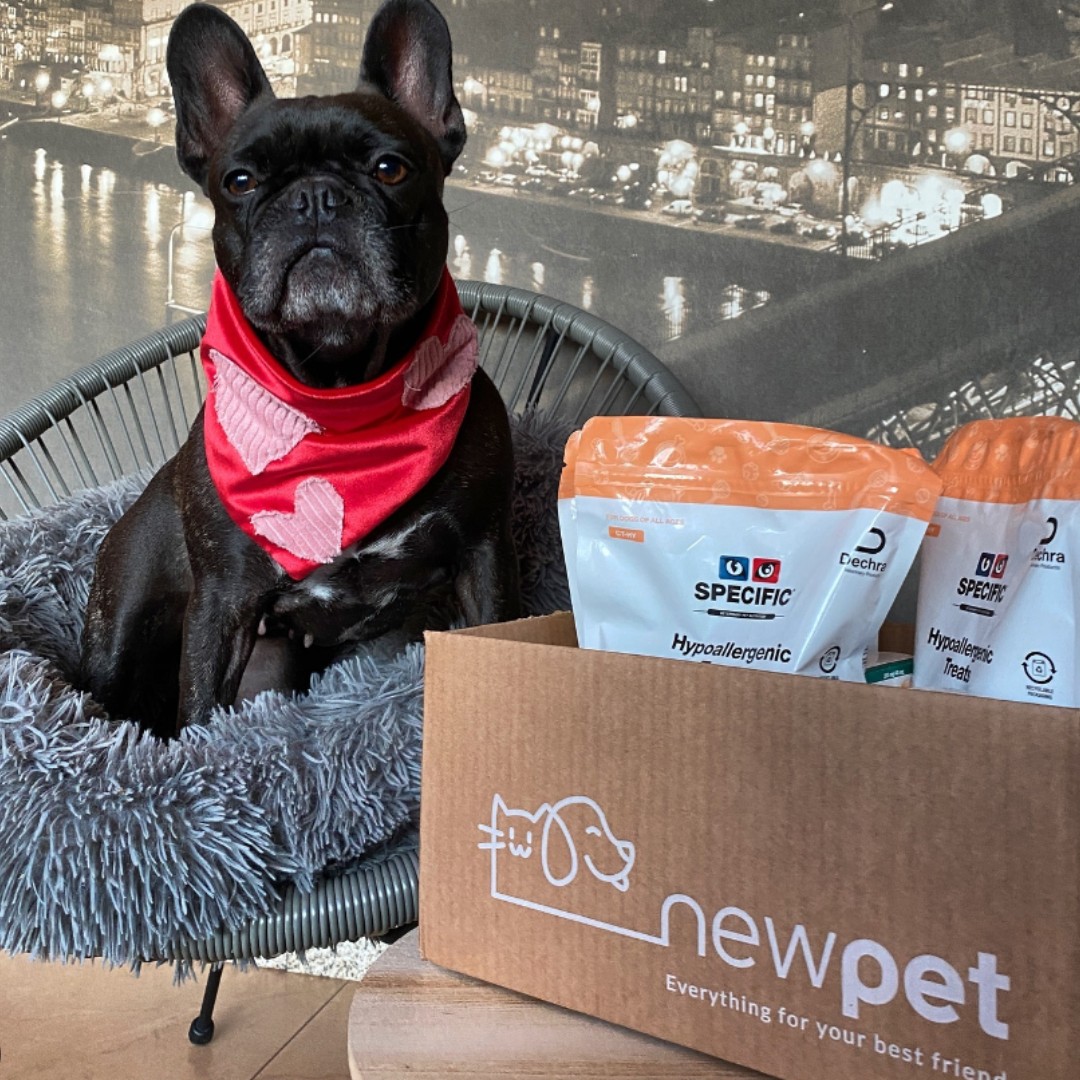 Patudo do Mês - Janeiro'24