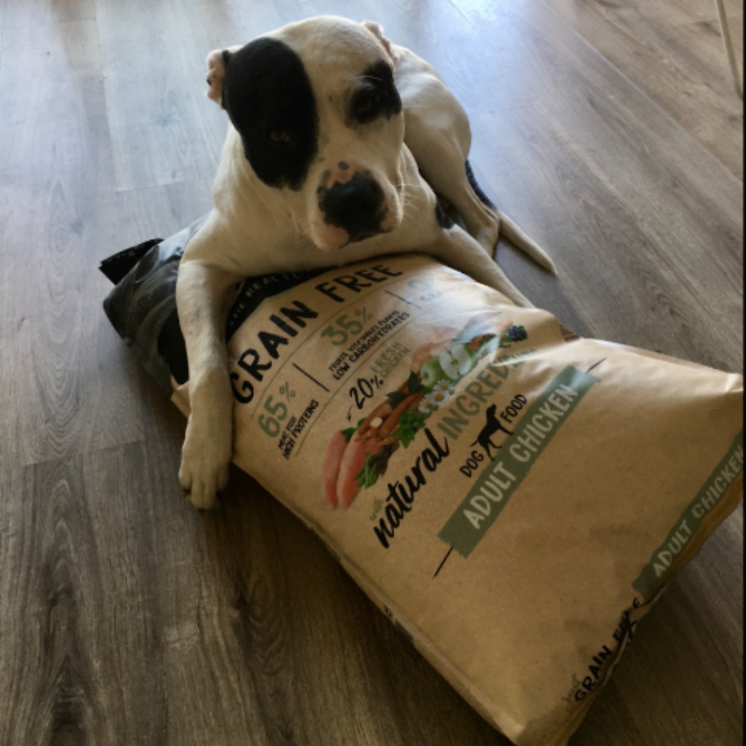 Patudo do Mês - Julho'23