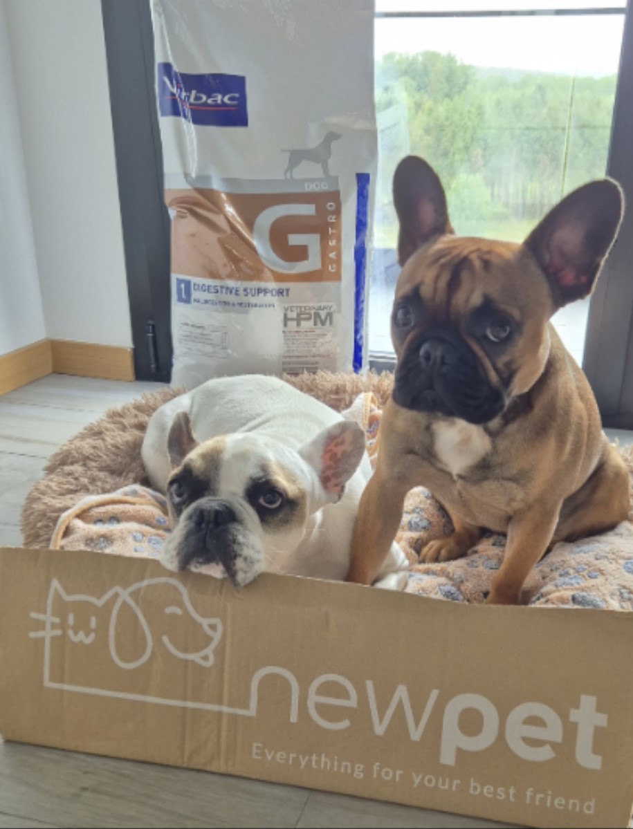 NewPet Patudo do Mês - Junho 2024