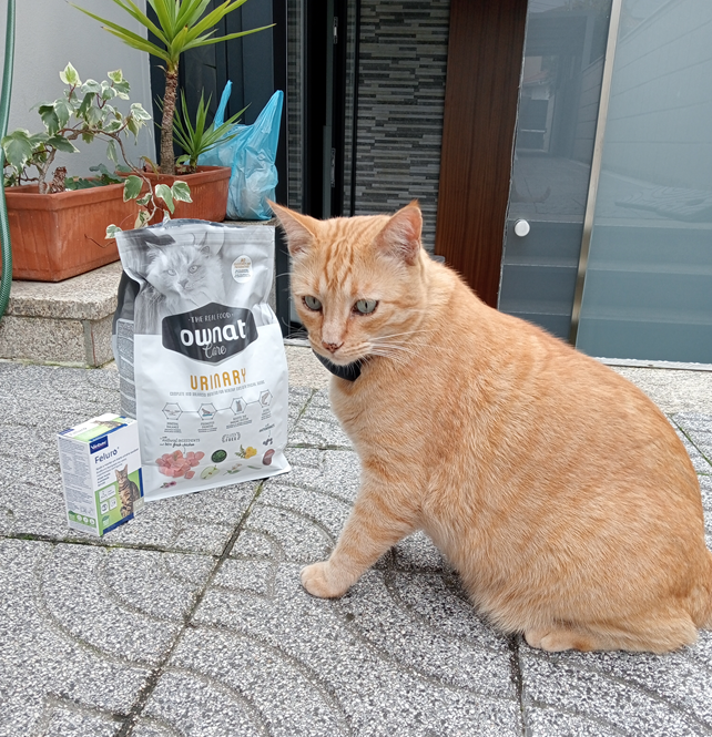 NewPet Patudo do Mês - Outubro'24