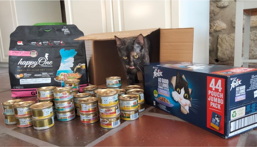 NewPet Patudo do Mês - Setembro'24