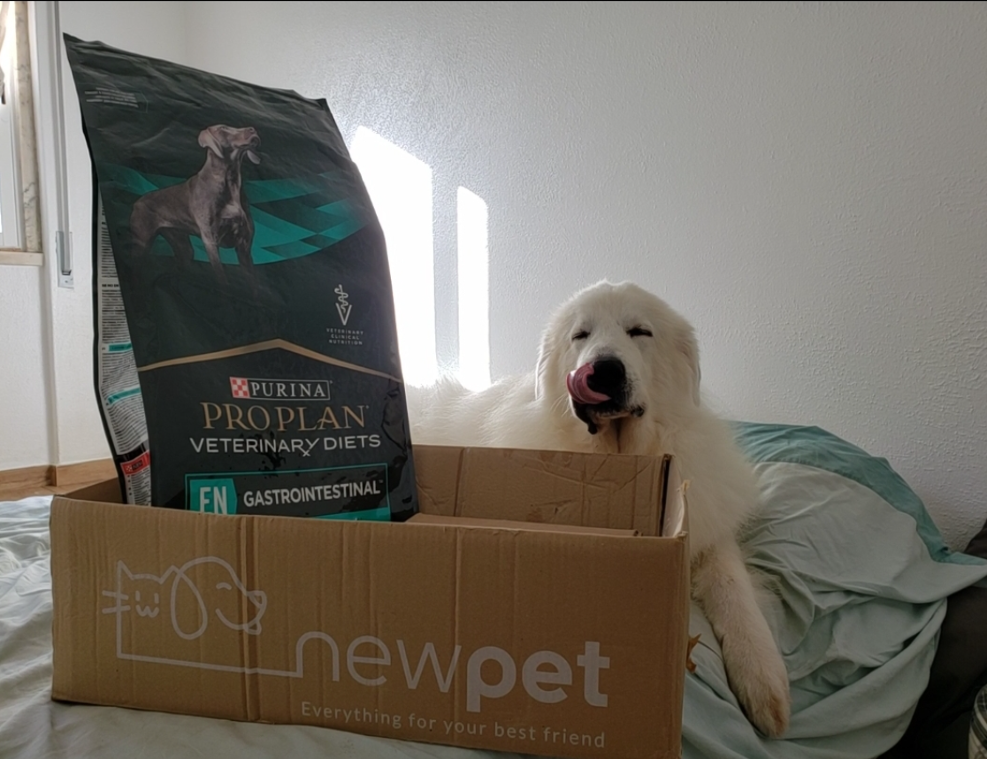 Patudo do Mês - Janeiro'23