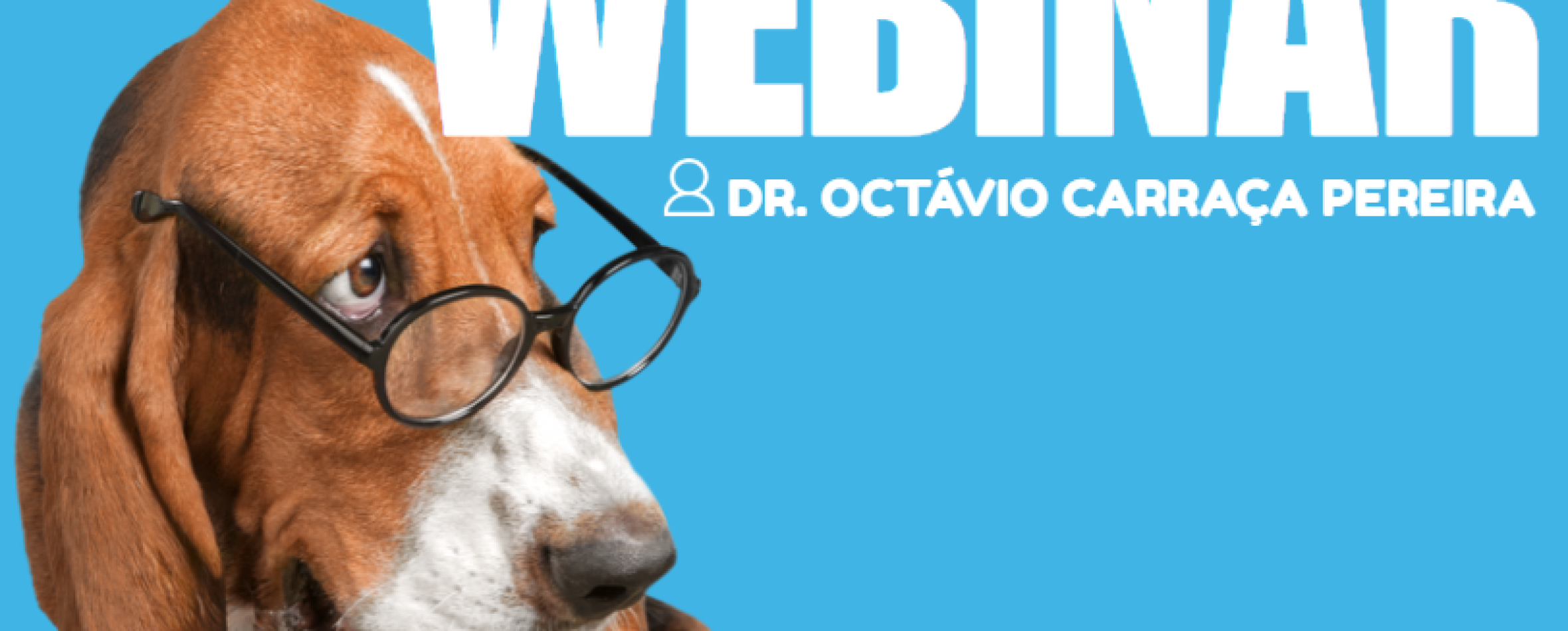 NewPet Boheringer Webinar - External Parasites of Pets