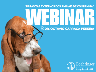 NewPet Boheringer Webinar - External Parasites of Pets