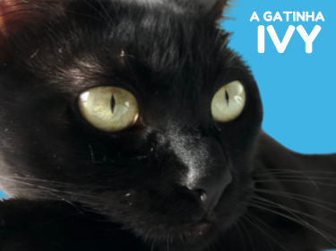 A Gatinha Ivy