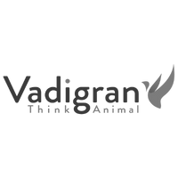 Vadigran