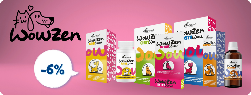 WowZen -6% Direto