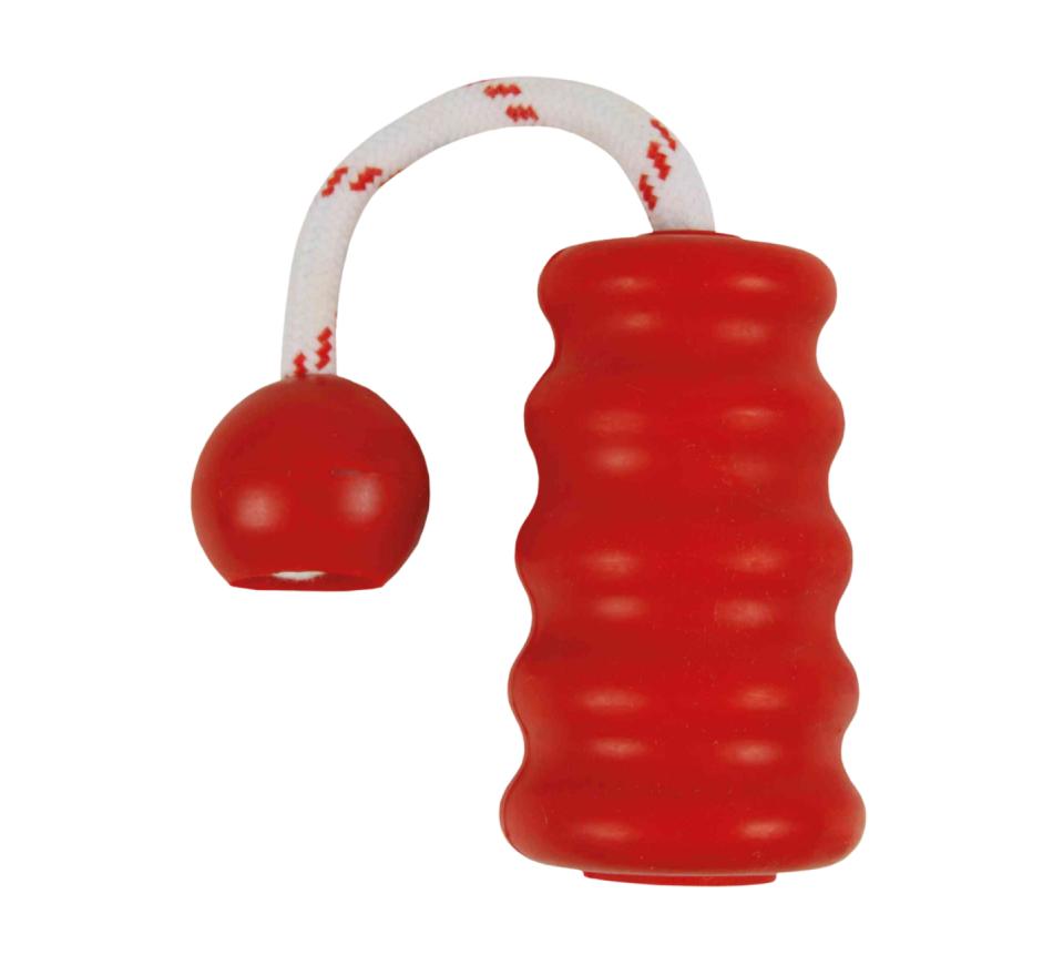 Aqua Toy MOT®-Fun para cães, Brinquedo Flutuante - Trixie 