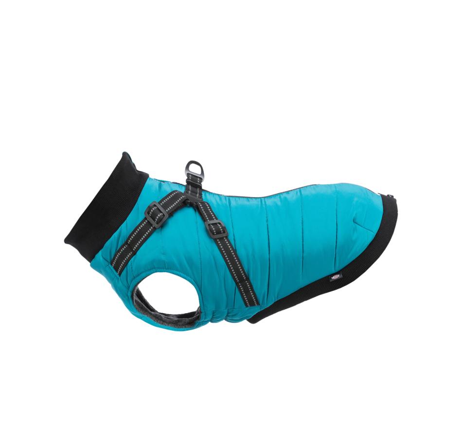 Capa Pontis com Peitoral Verde Água para Cães