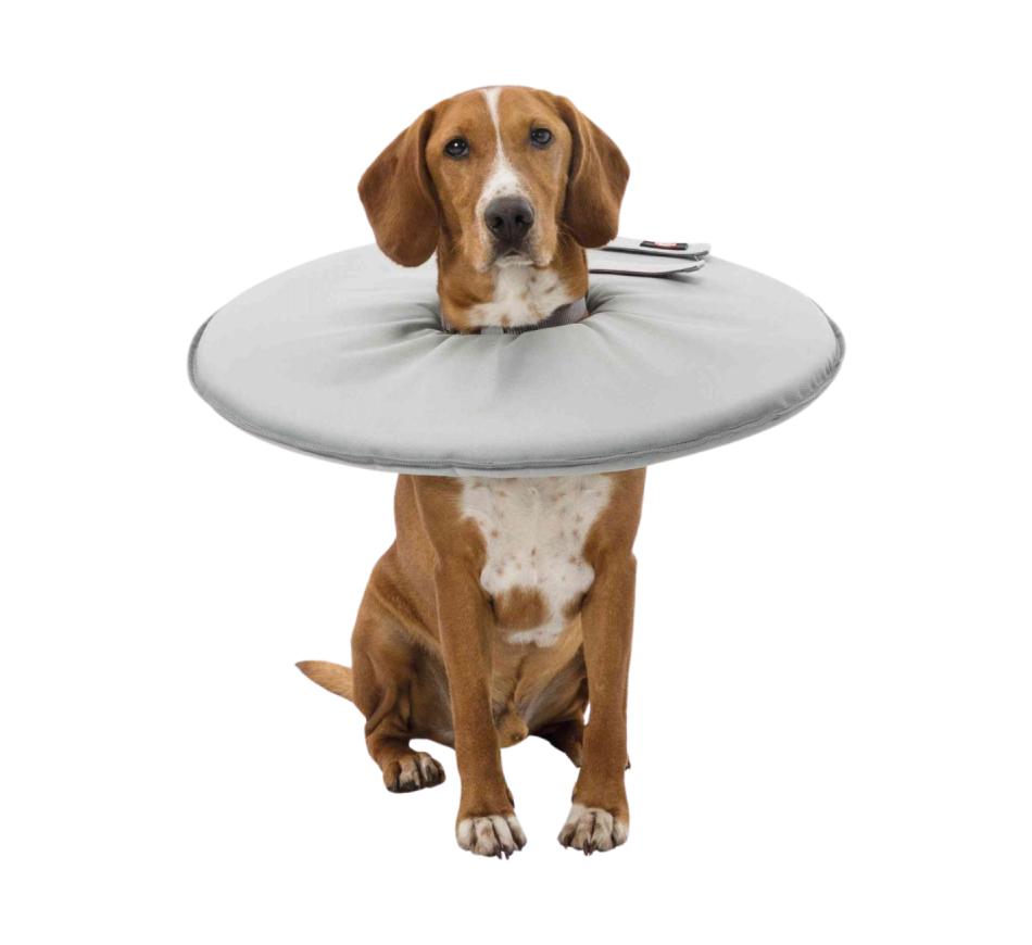 Colar Isabelino Flaxível Polyester