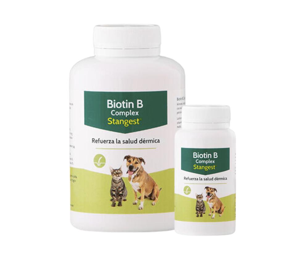 Biotin B Complex Comprimidos Boião - Stangest