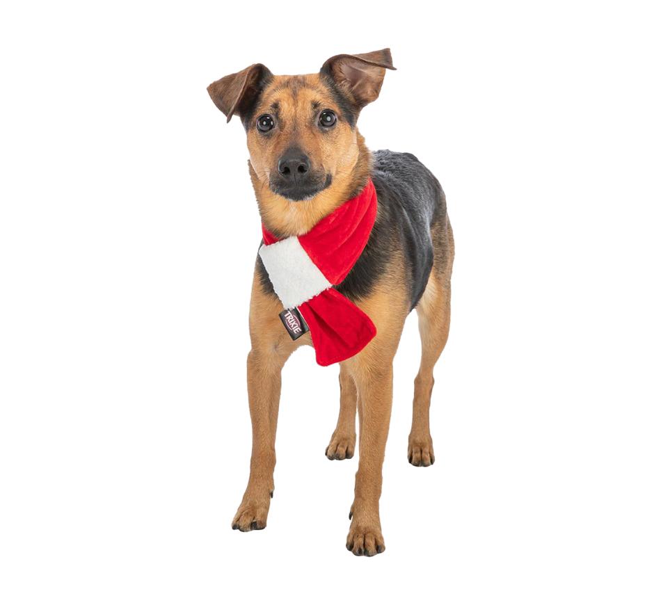 Cachecol de Natal para cães vermelho/branco - Trixie