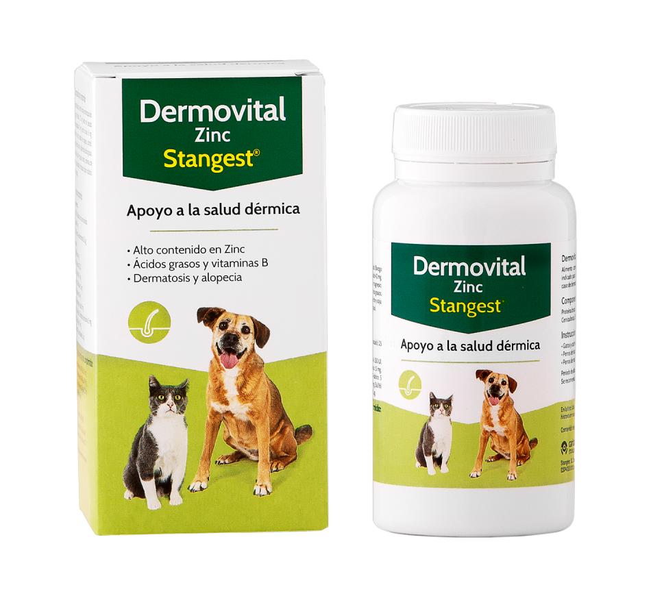 Dermovital Zinc Stangest 