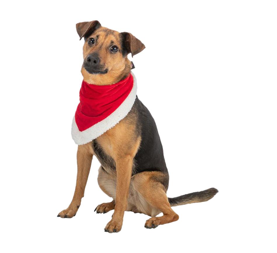 Lenço Bandana de Natal para Cães 75cm Vermelho - Trixie