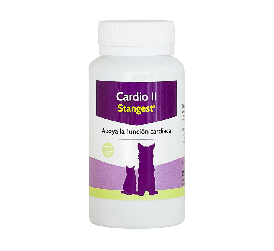 Cardio II Carnitine Stangest 
