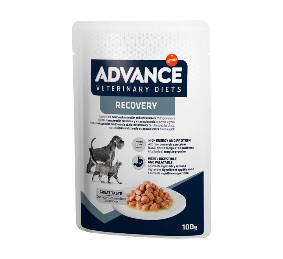 Advance Veterinary Diets Wet Dog/Cat Recovery