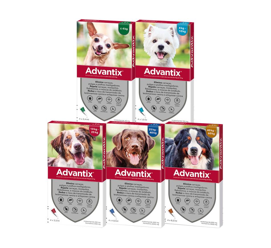 Advantix - 4 Pipetas