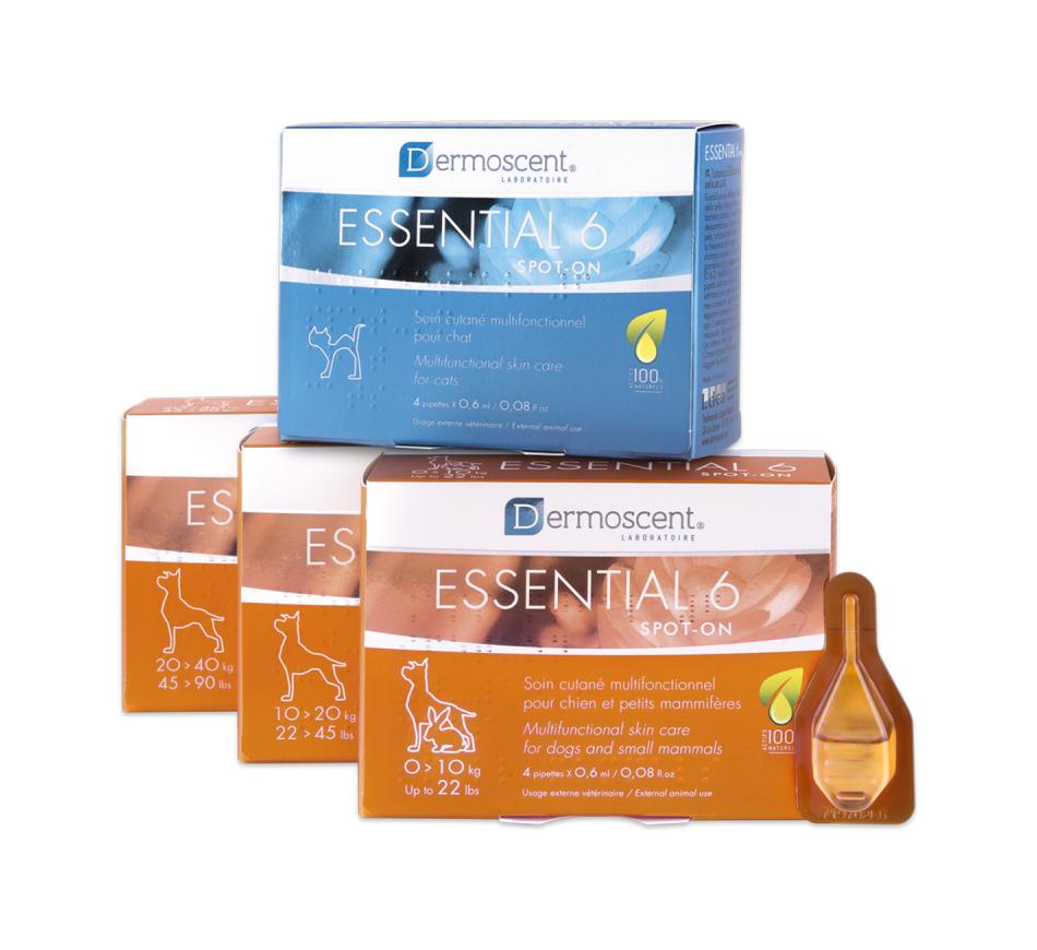 Dermoscent Essential 6 Spot On - Cão