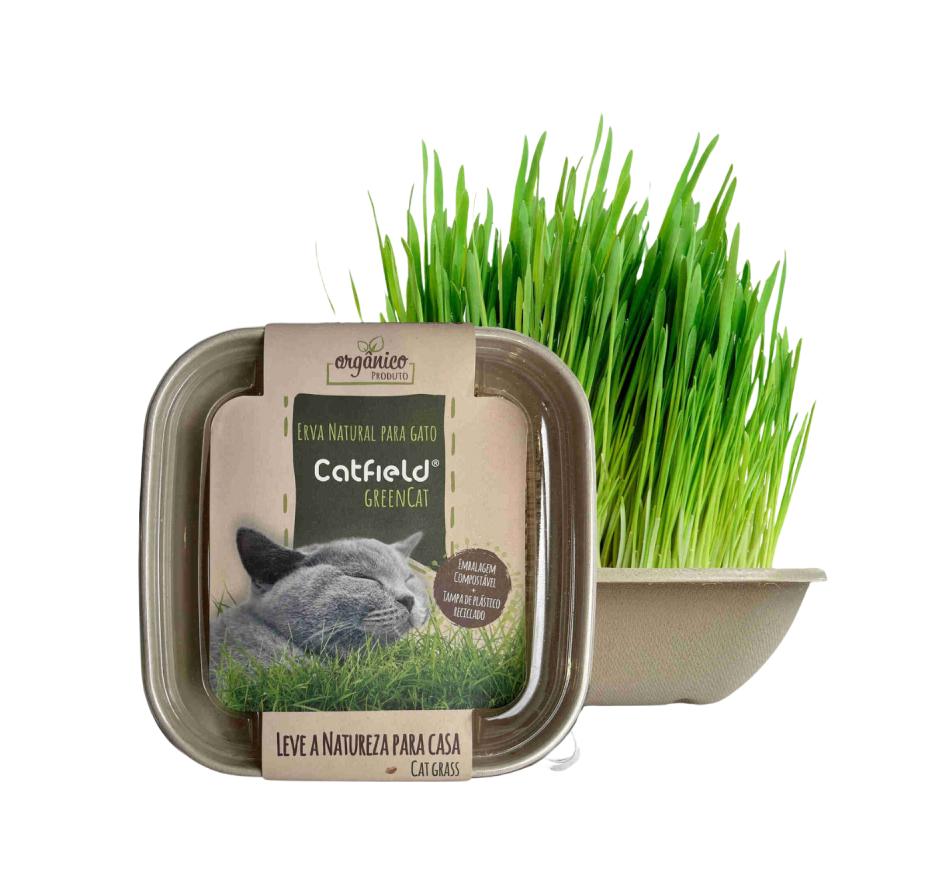 Catfield Green Cats Erva Natural para gatos e coelhos