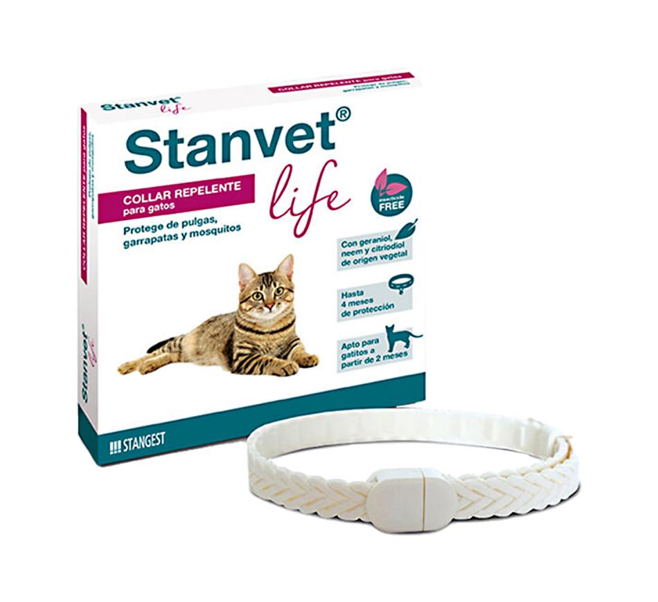 Collar Stanvet Life Gatos Stangest