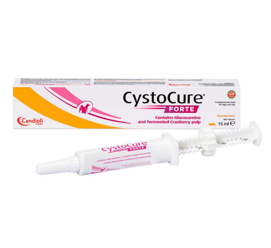 Cystocure Forte Pasta Oral - Trato Urinário 