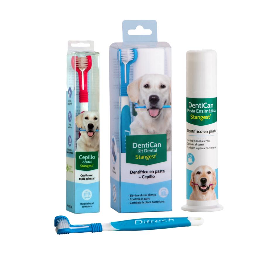 Kit Dental Stangest Escova + Pasta