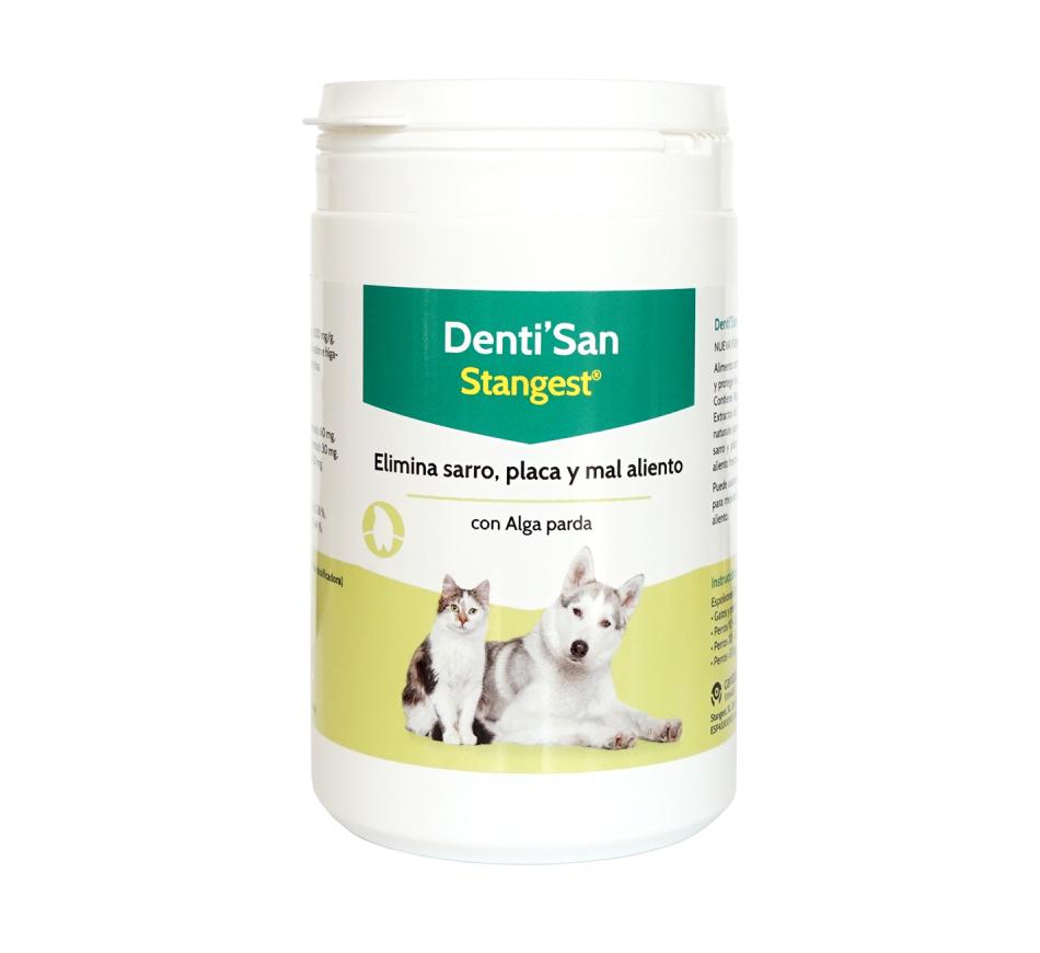 Denti’San Stangest
