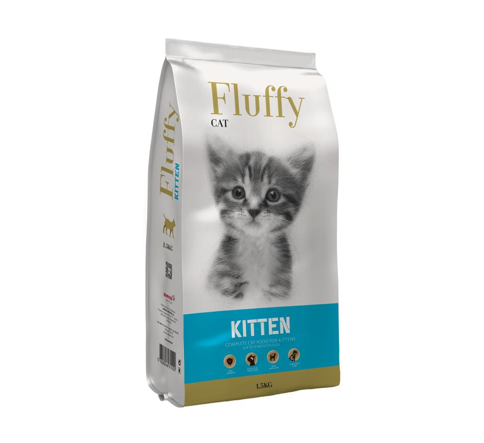 Fluffy Gato Kitten