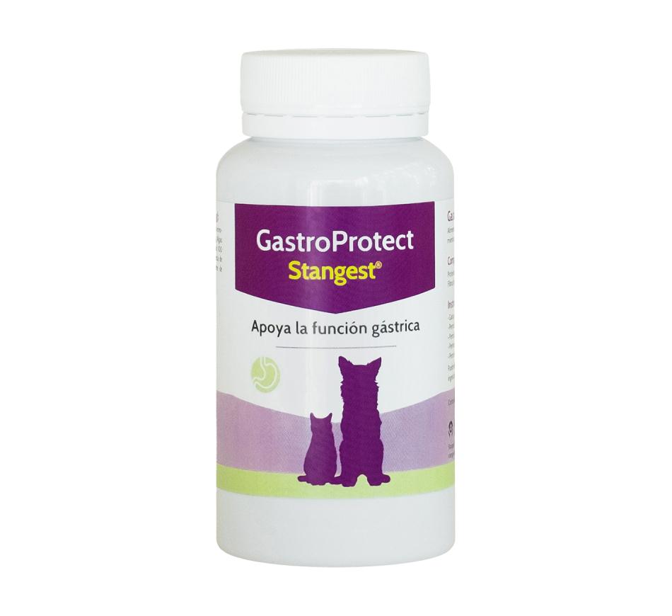 Gastroprotect Stangest 