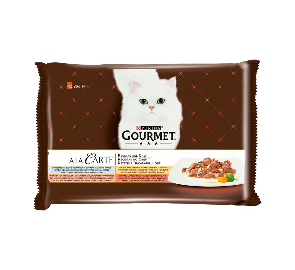 Gourmet A La Carte Receitas do Chef Peixe Oceano, Salmão, Peru e Pato