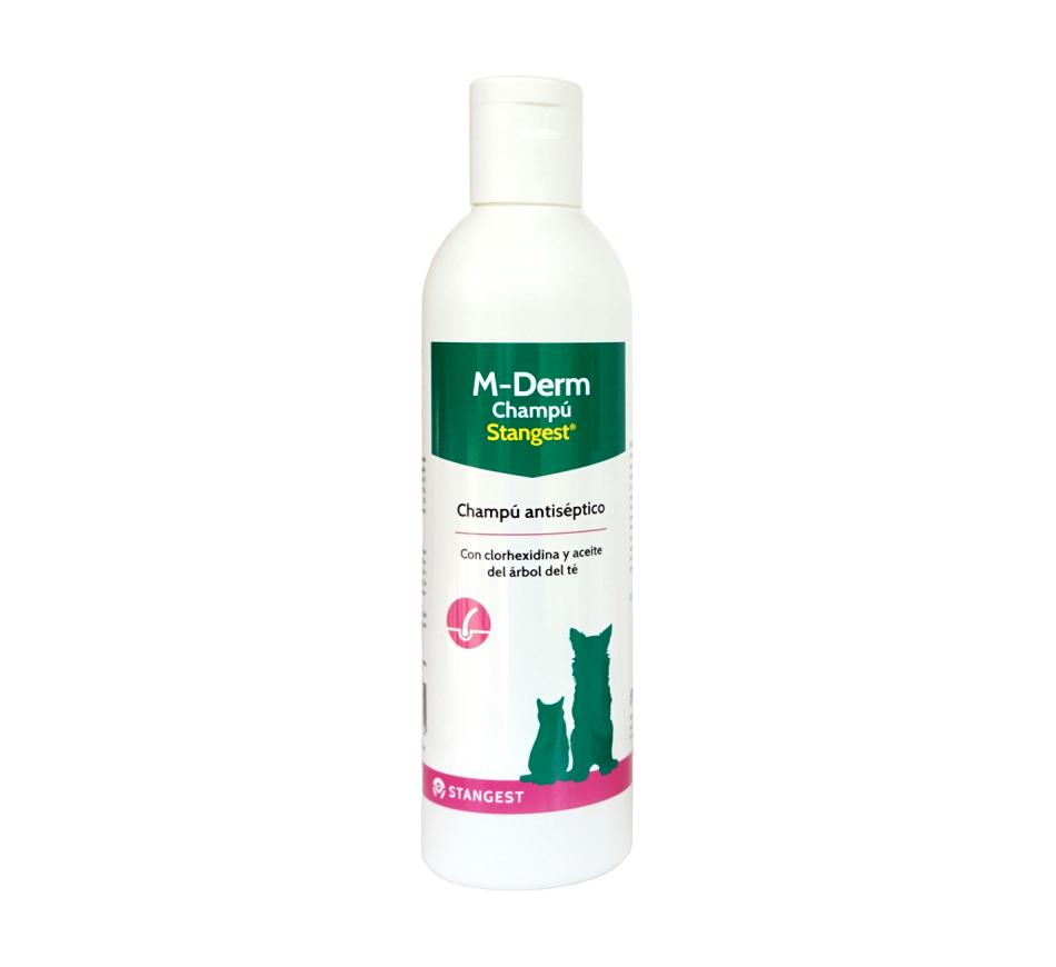 M-Derm Stangest Shampoo 