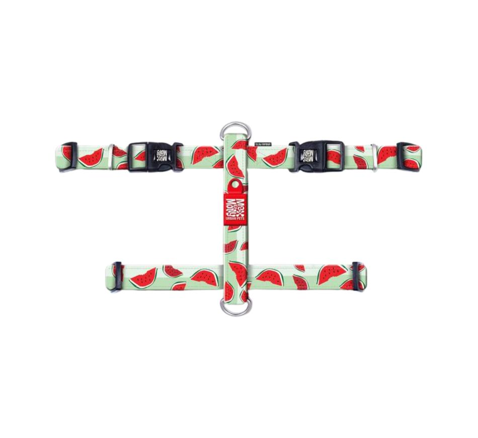 Arnês Cão Watermelon - Max & Molly