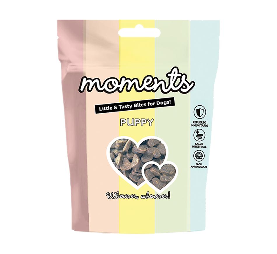 Moments Cão Puppy 