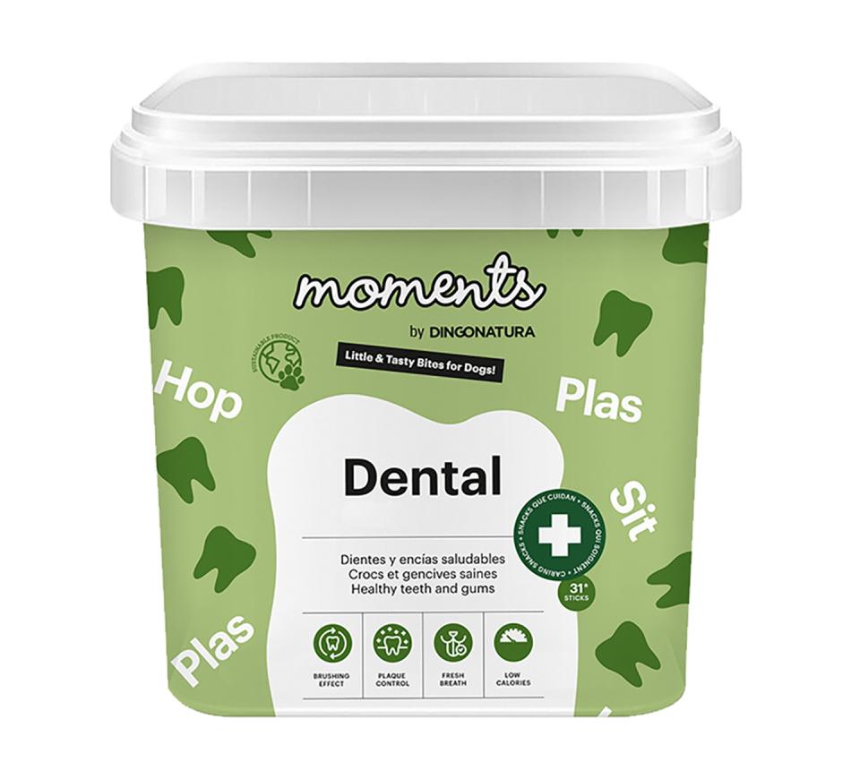 Moments Cão Dental