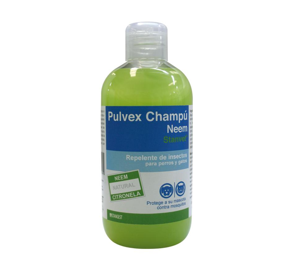 Pulvex Shampoo Stangest