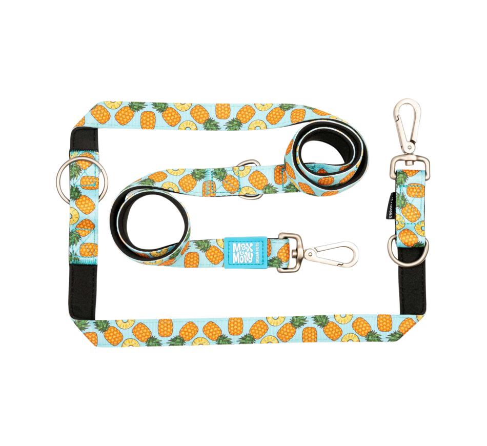 Trela Multifunções Cão Pineapple - Max & Molly