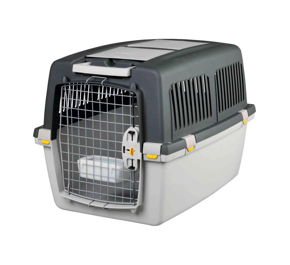 Transportadora Gulliver - Cinza